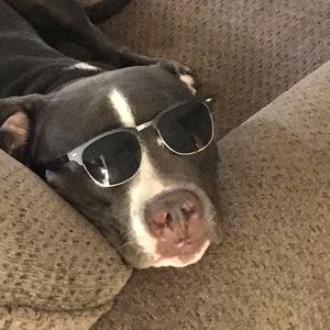 Meet your Posher, Pierce